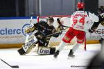 Photo hockey match Rouen - Grenoble  le 01/12/2019