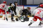 Photo hockey match Rouen - Grenoble  le 01/12/2019