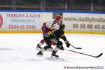 Photo hockey match Rouen - Grenoble  le 18/01/2022