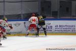 Photo hockey match Rouen - Grenoble  le 08/04/2023