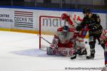 Photo hockey match Rouen - Grenoble  le 09/04/2023