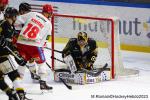 Photo hockey match Rouen - Grenoble  le 31/10/2023