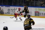 Photo hockey match Rouen - Grenoble  le 31/10/2023