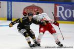 Photo hockey match Rouen - Grenoble  le 05/12/2023