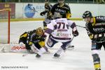 Photo hockey match Rouen - Grenoble  le 26/03/2010