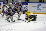 Photo hockey match Rouen - Grenoble  le 23/10/2010
