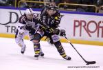 Photo hockey match Rouen - Grenoble  le 05/11/2011