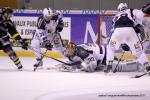 Photo hockey match Rouen - Grenoble  le 05/11/2011