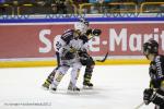 Photo hockey match Rouen - Grenoble  le 27/03/2012