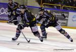 Photo hockey match Rouen - Grenoble  le 30/11/2012