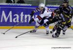 Photo hockey match Rouen - Grenoble  le 30/11/2012