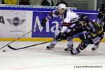 Photo hockey match Rouen - Grenoble  le 30/11/2012