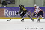 Photo hockey match Rouen - Grenoble  le 04/12/2012