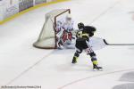Photo hockey match Rouen - Lyon le 05/12/2014