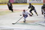 Photo hockey match Rouen - Lyon le 05/12/2014
