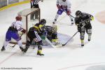Photo hockey match Rouen - Lyon le 05/12/2014