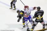 Photo hockey match Rouen - Lyon le 05/12/2014