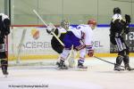 Photo hockey match Rouen - Lyon le 31/01/2016