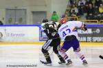 Photo hockey match Rouen - Lyon le 31/01/2016