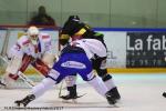 Photo hockey match Rouen - Lyon le 14/11/2017