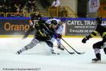 Photo hockey match Rouen - Lyon le 29/12/2017