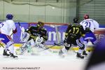 Photo hockey match Rouen - Lyon le 29/12/2017