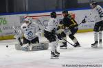 Photo hockey match Rouen - Marseille le 20/02/2024