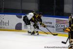 Photo hockey match Rouen - Marseille le 20/02/2024