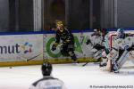 Photo hockey match Rouen - Marseille le 19/09/2025