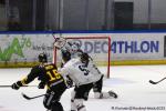 Photo hockey match Rouen - Marseille le 19/09/2025