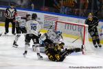 Photo hockey match Rouen - Marseille le 19/09/2025