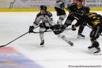 Photo hockey match Rouen - Marseille le 19/09/2025
