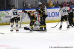Photo hockey match Rouen - Marseille le 21/12/2025