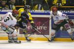 Photo hockey match Rouen - Mont-Blanc le 01/02/2011