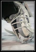 Photo hockey match Rouen - Morzine-Avoriaz le 09/01/2009