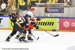 Photo hockey match Rouen - Mountfield le 09/09/2018