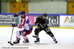 Photo hockey match Rouen - Mulhouse le 05/01/2018