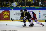 Photo hockey match Rouen - Mulhouse le 05/01/2018