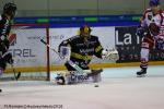 Photo hockey match Rouen - Mulhouse le 05/01/2018