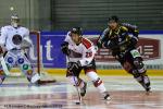 Photo hockey match Rouen - Mulhouse le 13/11/2018
