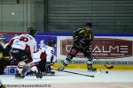 Photo hockey match Rouen - Mulhouse le 13/11/2018