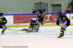 Photo hockey match Rouen - Mulhouse le 13/11/2018