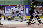 Photo hockey match Rouen - Mulhouse le 13/11/2018