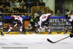 Photo hockey match Rouen - Mulhouse le 13/11/2018