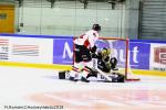 Photo hockey match Rouen - Mulhouse le 13/11/2018
