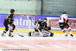 Photo hockey match Rouen - Mulhouse le 13/11/2018