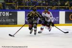 Photo hockey match Rouen - Mulhouse le 13/11/2018
