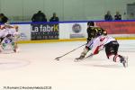 Photo hockey match Rouen - Mulhouse le 13/11/2018