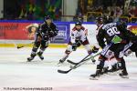 Photo hockey match Rouen - Mulhouse le 24/02/2019