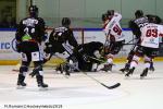 Photo hockey match Rouen - Mulhouse le 24/02/2019